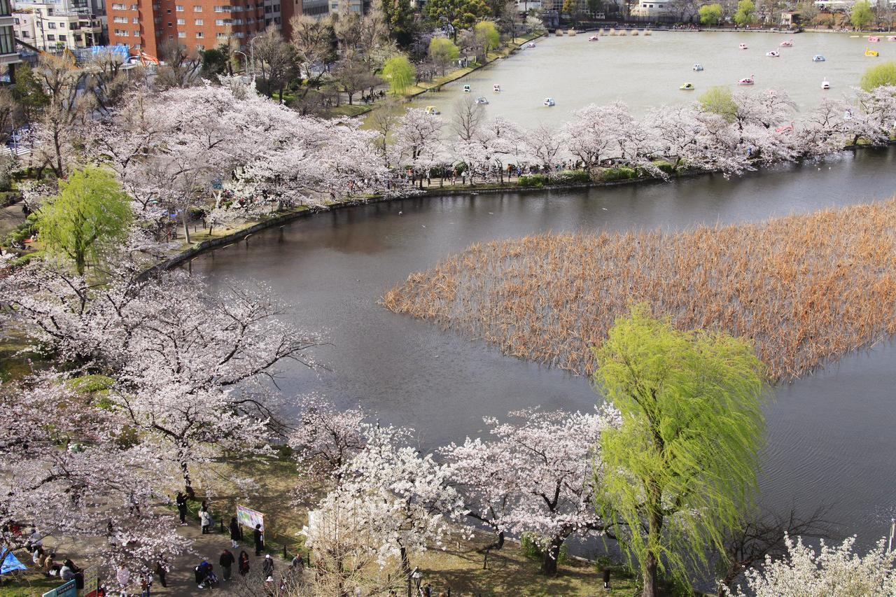 Centurion Hotel&Spa Ueno Station Tokyo Dış mekan fotoğraf