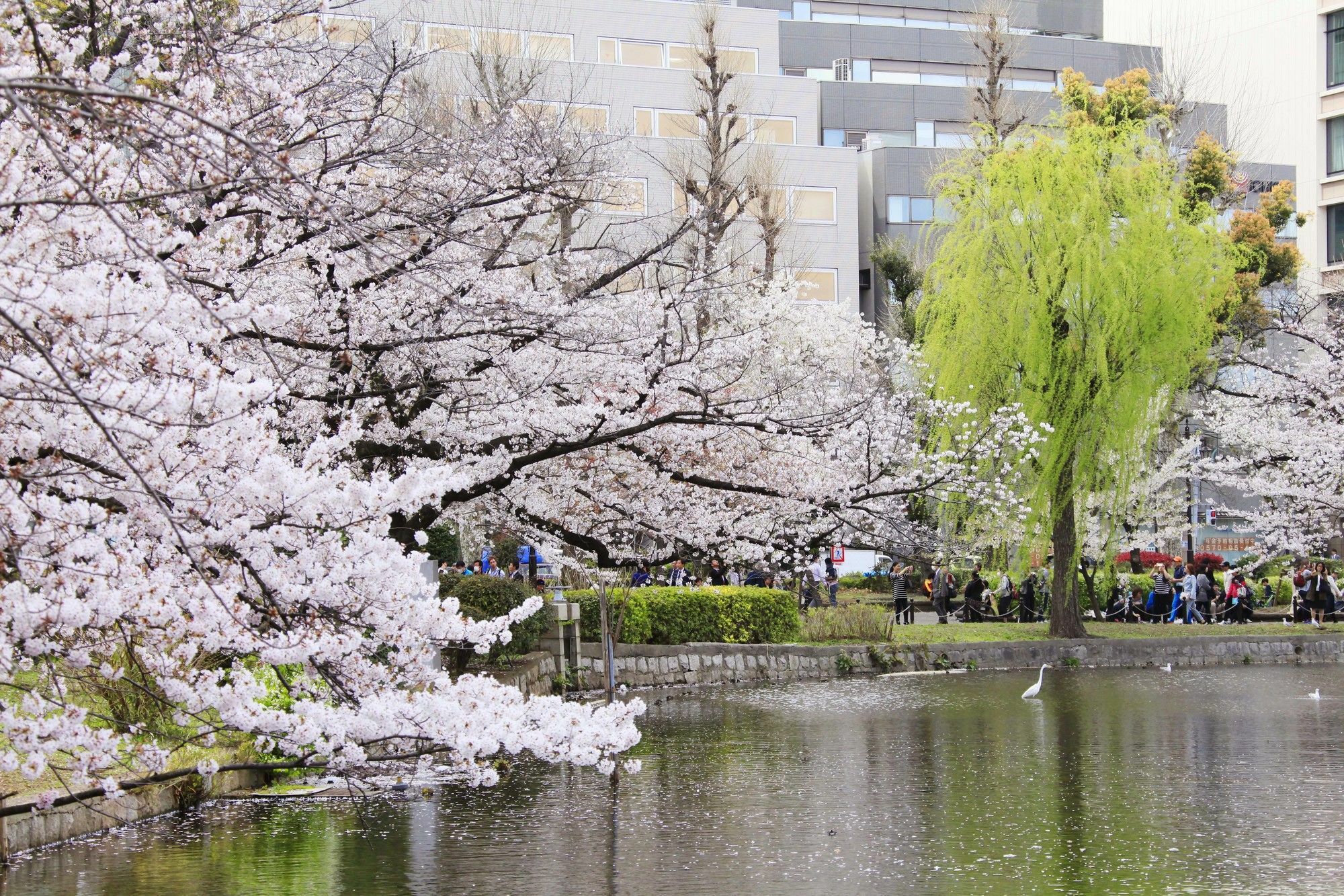 Centurion Hotel&Spa Ueno Station Tokyo Dış mekan fotoğraf
